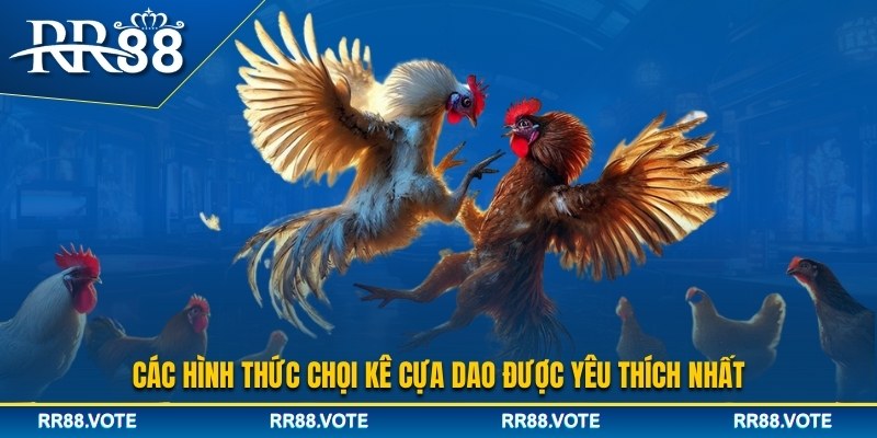 Các hình thức cá cược đá gà cựa dao