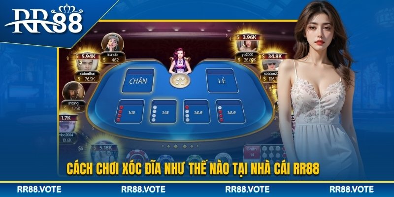 Cách chơi xóc đĩa tại nhà cái RR88
