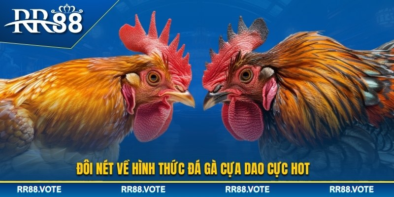 Vài nét về hình thức đá gà cựa dao