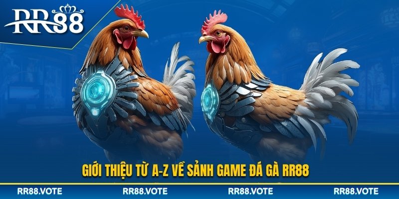 Giới thiệu sảnh đá gà RR88