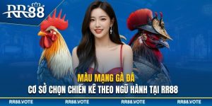 Màu mạng gà đá