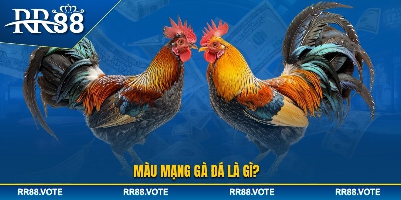Tìm hiểu khái niệm màu mạng gà đá