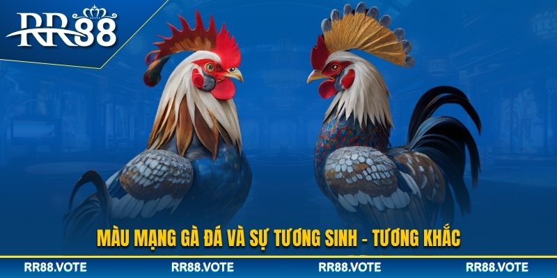 Màu mạng gà đá và sự tương sinh, tương khắc