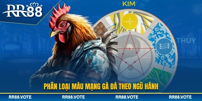 Phân loại màu mạng gà đá theo ngũ hành