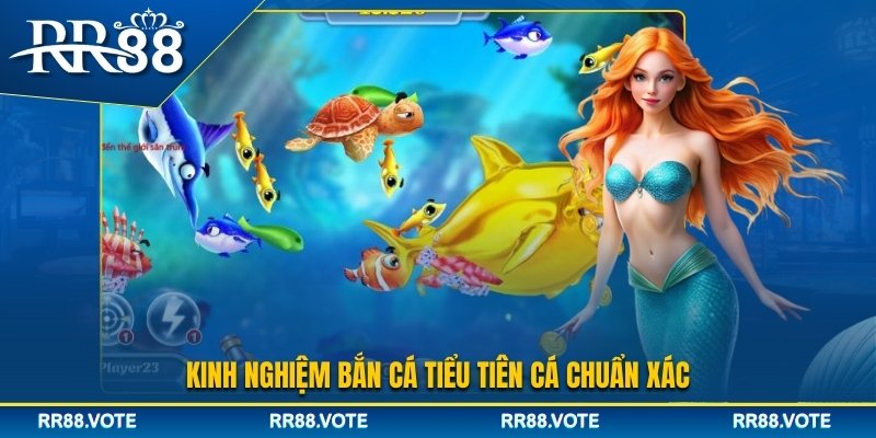 Kinh nghiệm chơi bắn cá Tiểu Tiên Cá